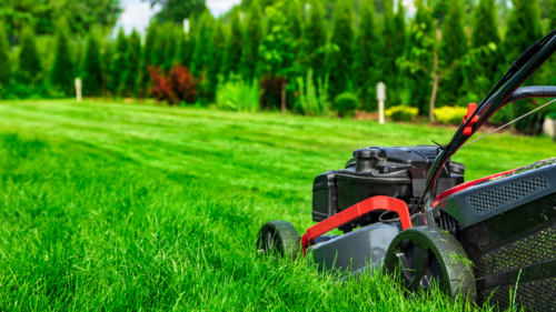 Seasonal Lawn Care Tips: Maintaining a Healthy and Vibrant Yard