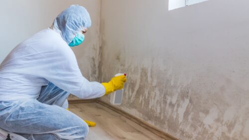 Mold Prevention