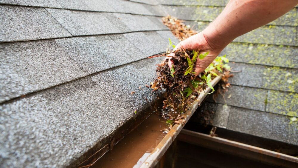 Gutter maintenance